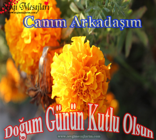 arkadasa-dogum-gunu-mesajlari