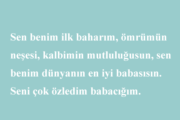 Ölen babaya özlem sözleri