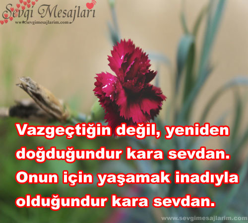 Derin Sözler