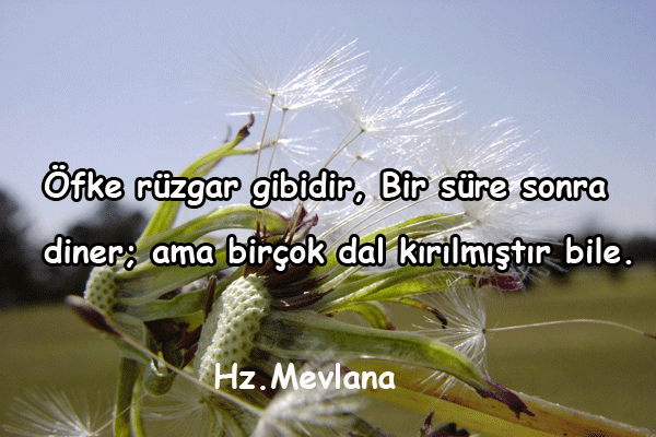 Kızgınlık İle İlgili Sözler