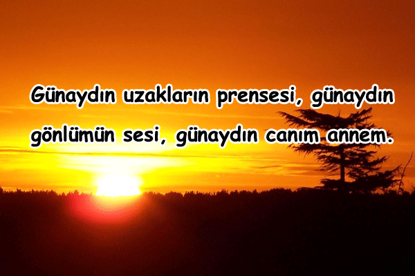 Anneye Günaydın Mesajları