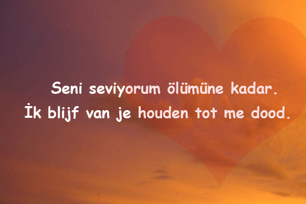 Almanca Aşk Mesajları