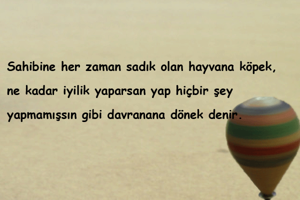 Dönek İnsanlara Söylenecek Sözler