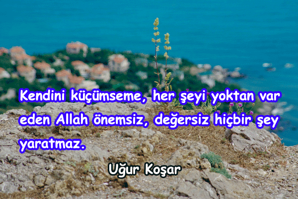 Küçümsemek İle İlgili Sözler