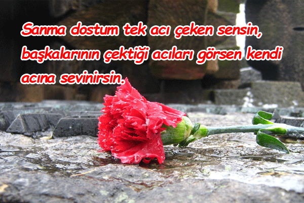 acı çekmek ile ilgili sözler