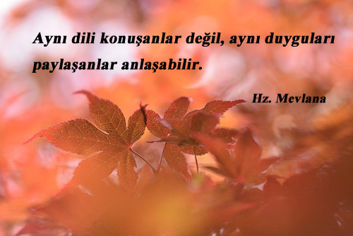 Paylaşmak İle İlgili Sözler