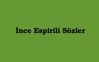 İnce Espirili Sözler