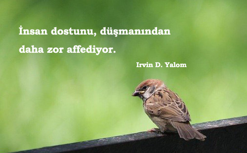 Irvin D. Yalom Sözleri