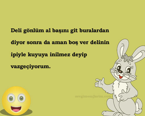 Komik Delilik Sözleri