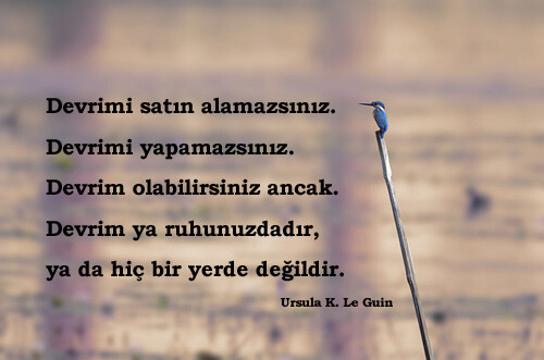 Devrim İle İlgili Sözler