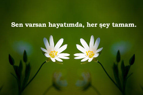 Whatsapp Durum Sözleri Aşk