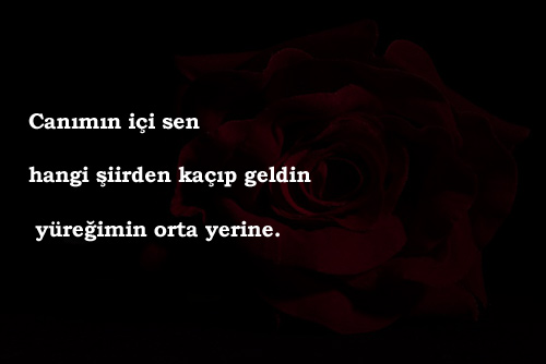 Dünyanın En Romantik Sözleri