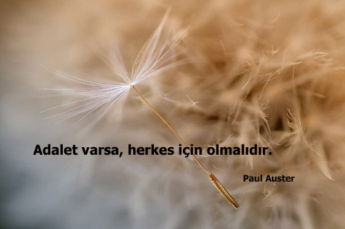 Paul Auster Sözleri