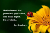 Ray Bradbury Sözleri
