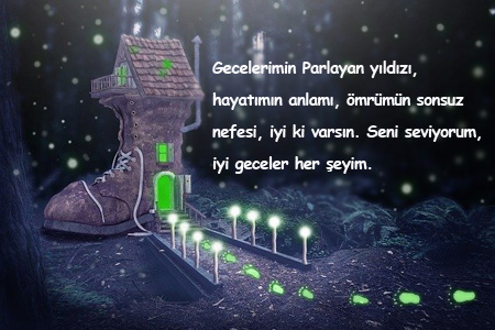 Erkek Sevgiliye İyi Geceler Mesajı