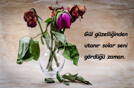 Etkileyici İltifat Sözleri