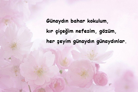 Sevgiliye Günaydın Sözleri