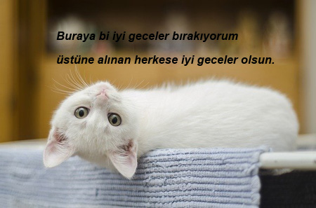 İyi Geceler Mesajı Komik