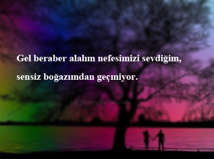 Güzel Sevgili Sözleri