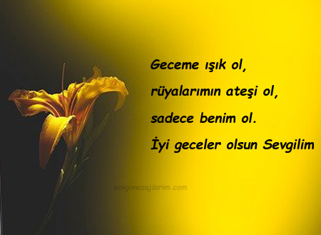 Sevgiliye İyi Geceler Mesajları