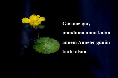 Dini Anneler Günü Sözleri