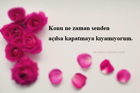 En Güzel Aşk Sözleri Kısa