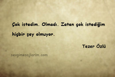 Tezer Özlü Sözleri
