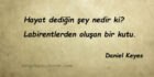 Daniel Keyes Sözleri