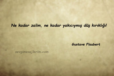 Gustave Flaubert Sözleri